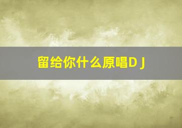 留给你什么原唱D J